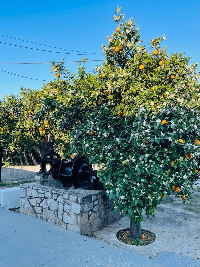 فيلا Citrus Garden Epidaurus المظهر الخارجي الصورة
