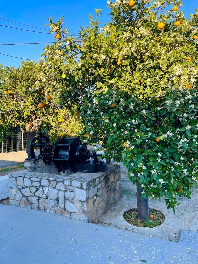 فيلا Citrus Garden Epidaurus المظهر الخارجي الصورة