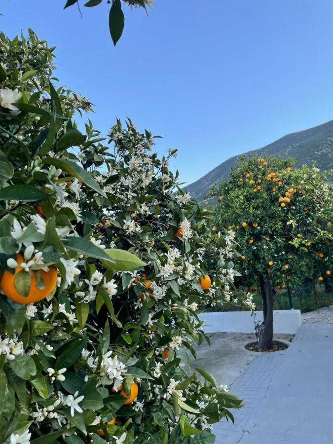 فيلا Citrus Garden Epidaurus المظهر الخارجي الصورة