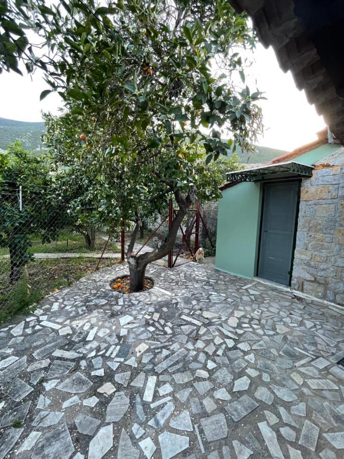 فيلا Citrus Garden Epidaurus المظهر الخارجي الصورة